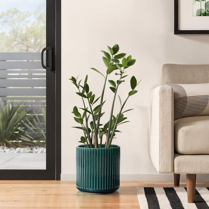 Grove Round Fluted Ceramic Planter, Jade Green, 11.5"