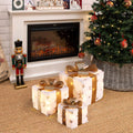 3-Piece Snowflake White and Gold Giftbox Holiday Decoration Set with Lights