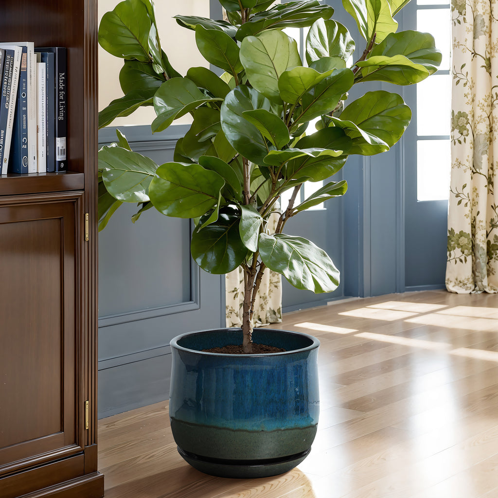 Blue and Green Ombre Round Decorative Ceramic Planter Pot