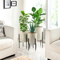 Set of 3 Gray and Gold Metal Cachepot Planters with Black Stand