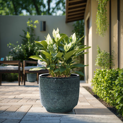 Weave Textured Ceramic Round Planter, Coastal Gray, 14"