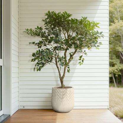 Dune Round Textured Mg0 Planter, Gradient Off-White, 14.5"