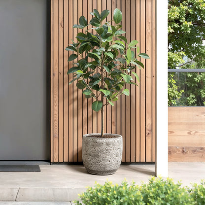 Basin Stone-Textured Ceramic Planter, Grid Gray, 11"