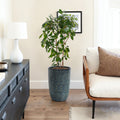 Ocean Grid Textured Ceramic Planter, Green-Blue Pot with Raised Pattern