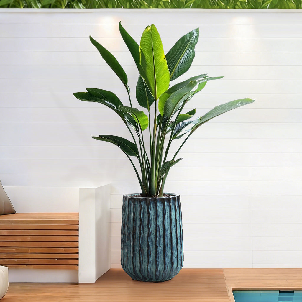 Verdant Rise Ribbed Ceramic Planter, Coastal Gradient Decorative Pot