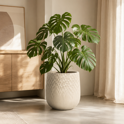 Dune Round Textured Mg0 Planter, Gradient Off-White, 14.5"